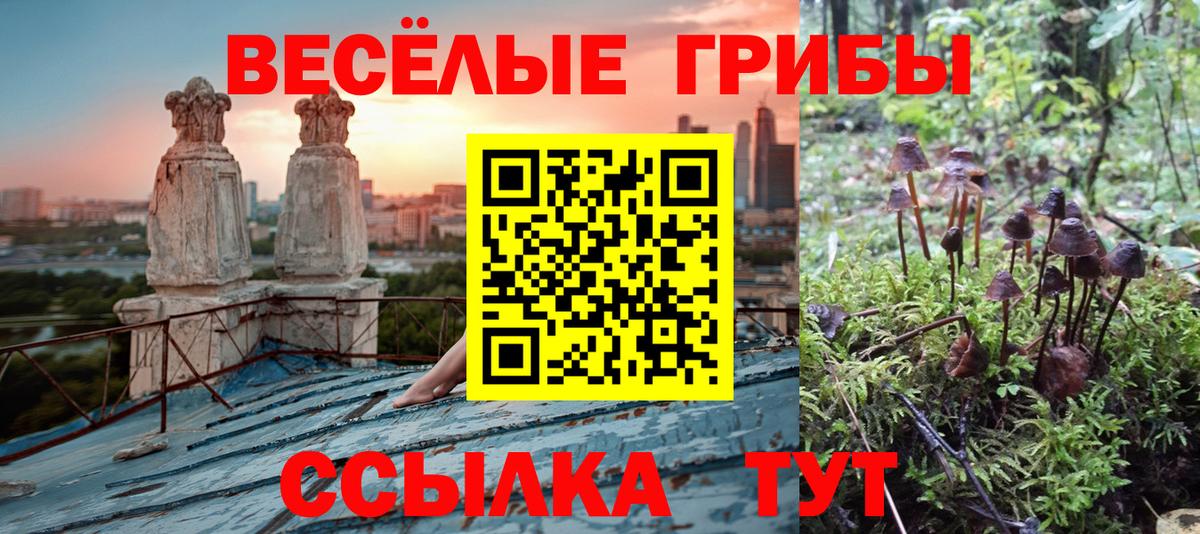 Псилоцибиновые грибы ЛСД Шарыпово