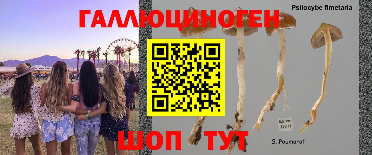 наркотики  Вход с VPN  Шарыпово  Псилоцибиновые грибы мухоморы 